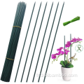 Plant Support Floral Picks Garden Sticks Bamboo Player